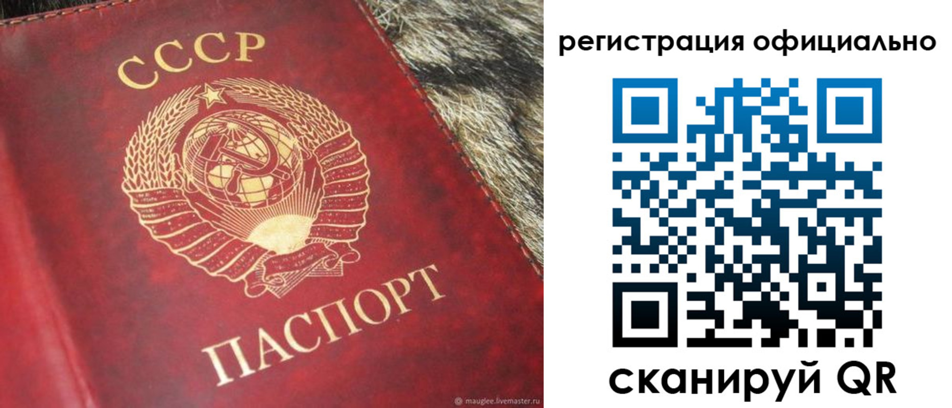временная регистрация надежно в Мегионе